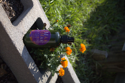 Moisturizing Shea Butter Lotion